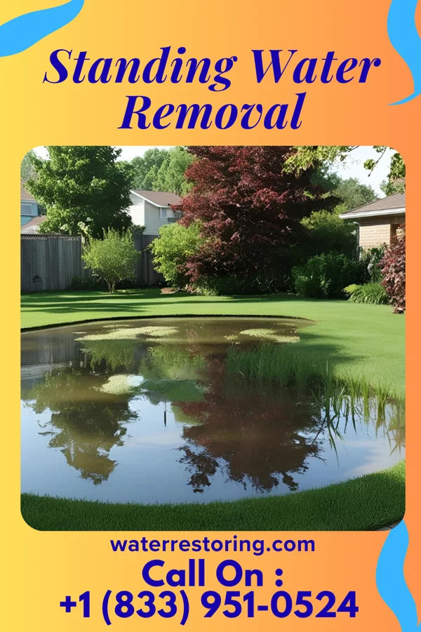 Standing Water Removal in McCurtain, OK